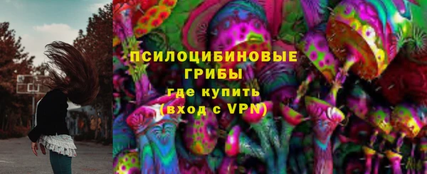 бошки Володарск